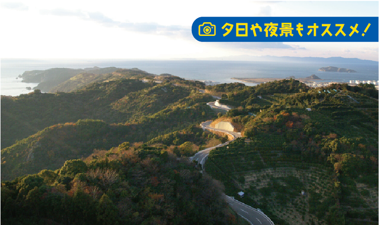 夕日や夜景もオススメ! 有田みかん海道の写真