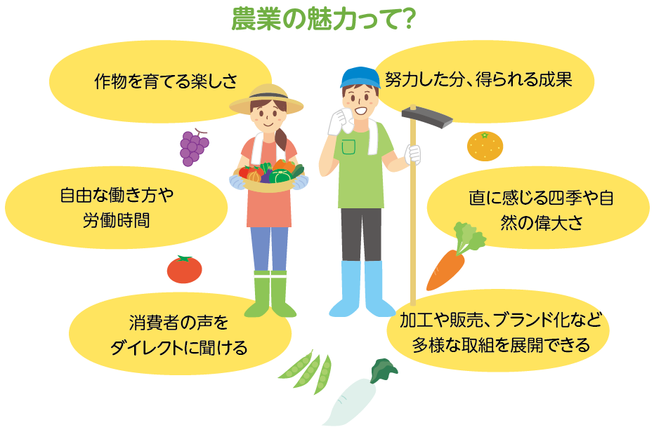 農業の魅力って? 作物を育てる楽しさ 努力した分、得られる成果 自由な働き方や労働時間 直に感じる四季や自然の偉大さ 消費者の声を
ダイレクトに聞ける 加工や販売、ブランド化など多様な取組を展開できる