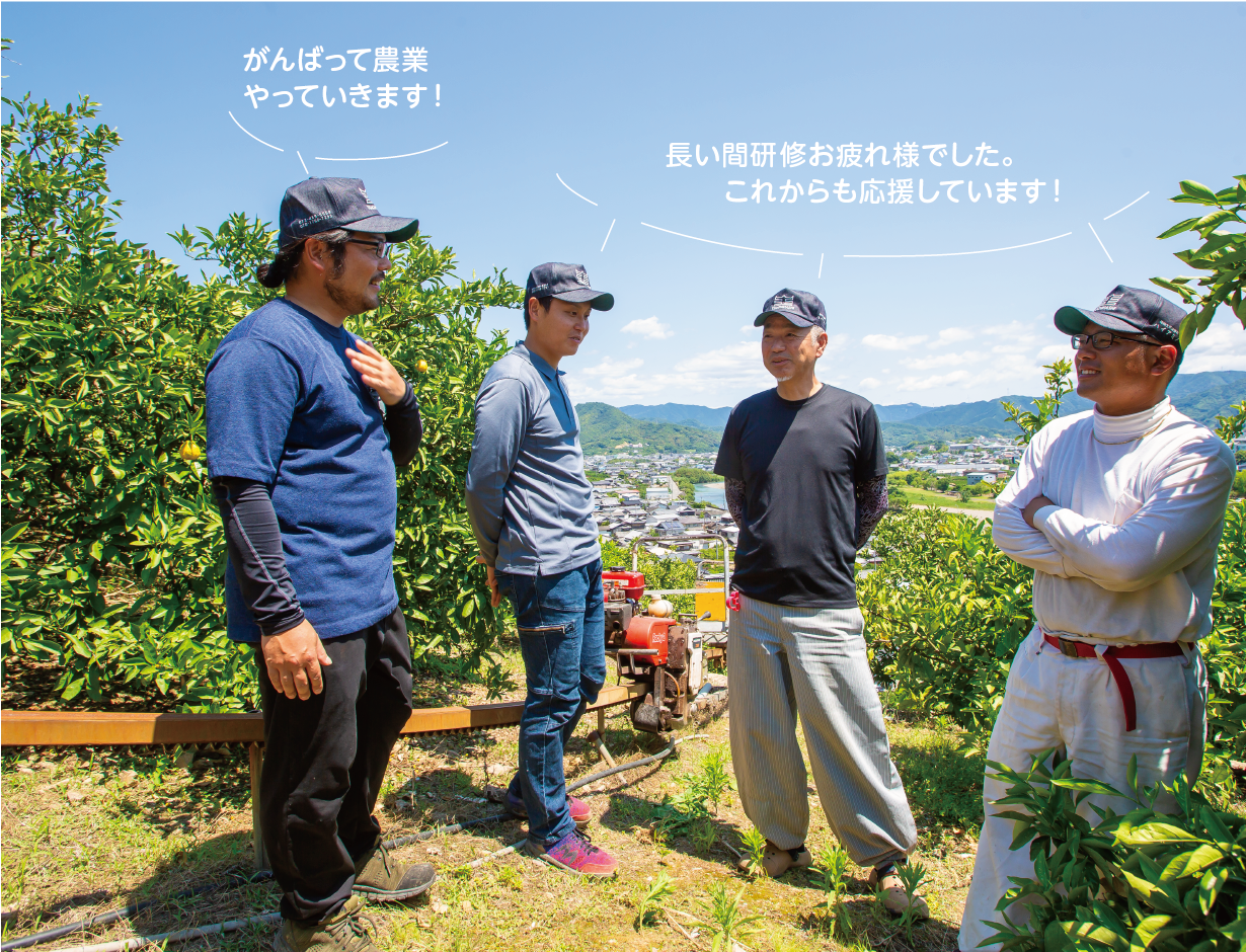 「長い間研修お疲れ様でした。
これからも応援しています!(研修受入農家)」「がんばって農業やっていきます!(新規就農者)」と声をかけあうみかん畑での様子