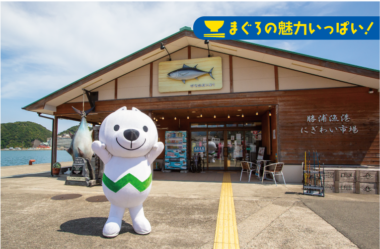 まぐろの魅力いっぱい!勝浦漁港にぎわい市場ときいちゃんの写真