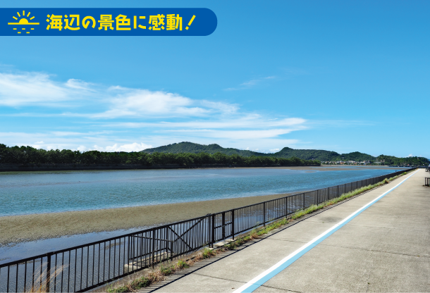 海辺の景色に感動! 和歌山マリーナシティ付近の歩道の写真
