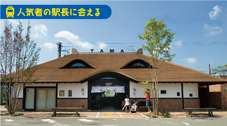 人気者の駅長に会える 和歌山電鐵貴志川線貴志駅の写真