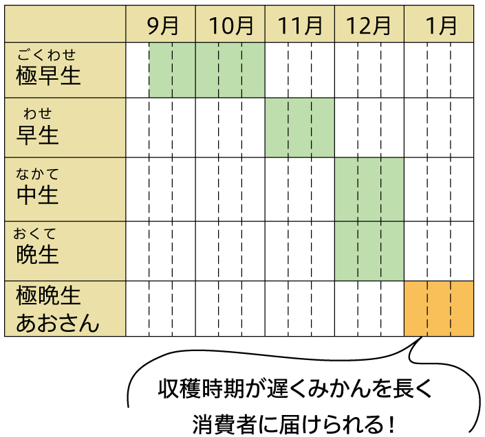 収穫時期が遅くみかんを長く消費者に届けられる!