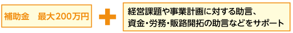 補助金 最大200万円 プラス
経営課題や事業計画に対する助言、資金・労務・販路開拓の助言などをサポート