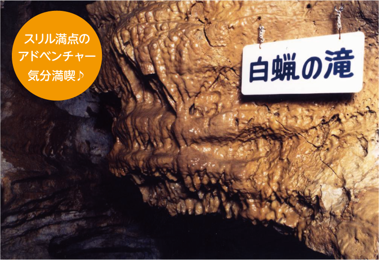 スリル満点のアドベンチャー気分満喫♪ 戸津井鍾乳洞　