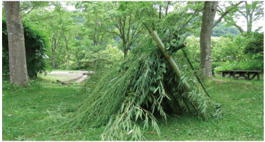 竹のテント
