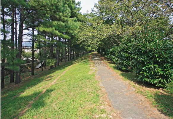 広村堤防（画像提供：広川町）