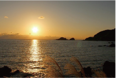 枯木灘に夕日が映える画像