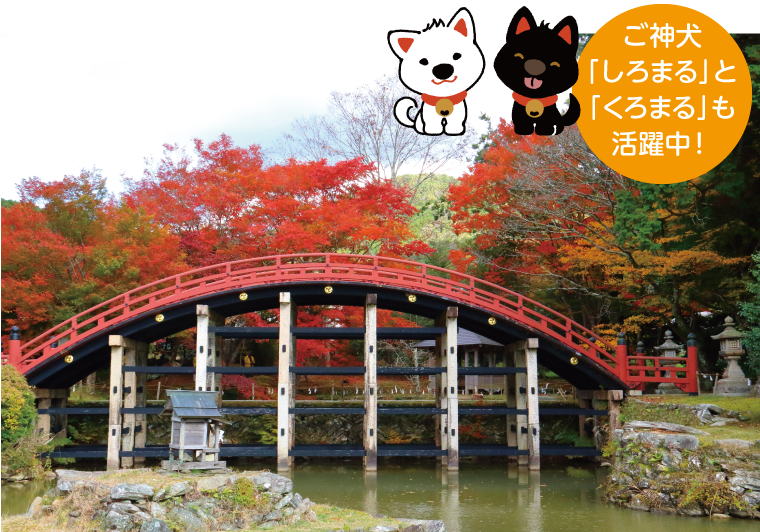 丹生都比売神社の画像『ご神犬「しろまる」と「くろまる」も活躍中!』