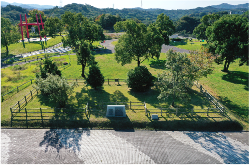 新庄総合公園イメージ画像