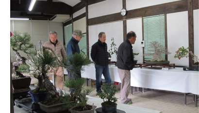 緑和会盆栽展の写真
