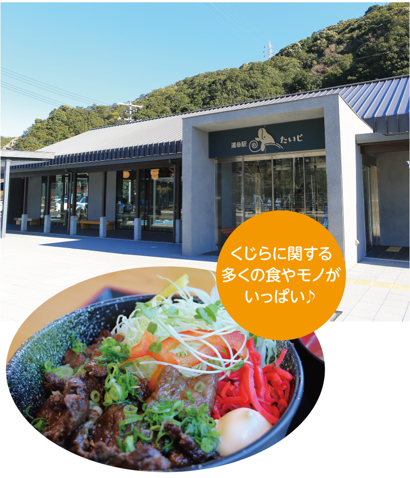 道の駅たいじ