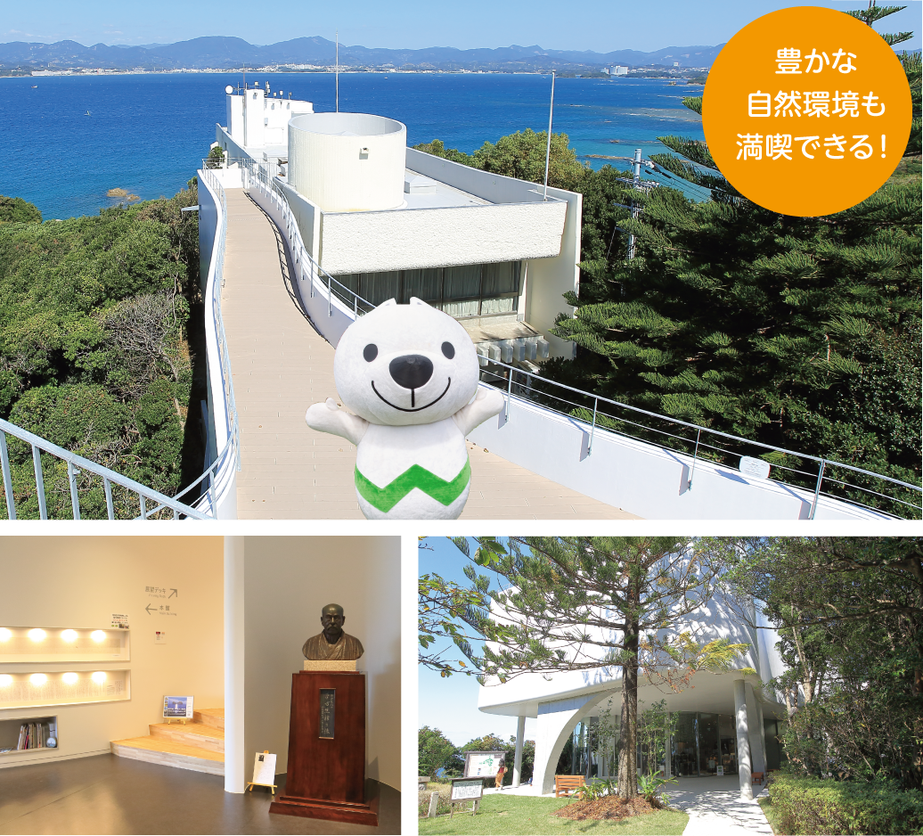 南方熊楠記念館「豊かな自然環境も満喫できる！」