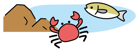 海の生物のイラスト
