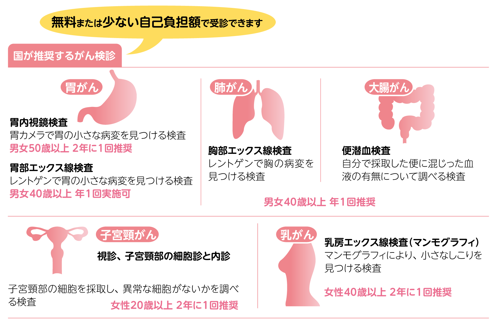 国が推奨するがん検診：無料または少ない自己負担額で受診できます