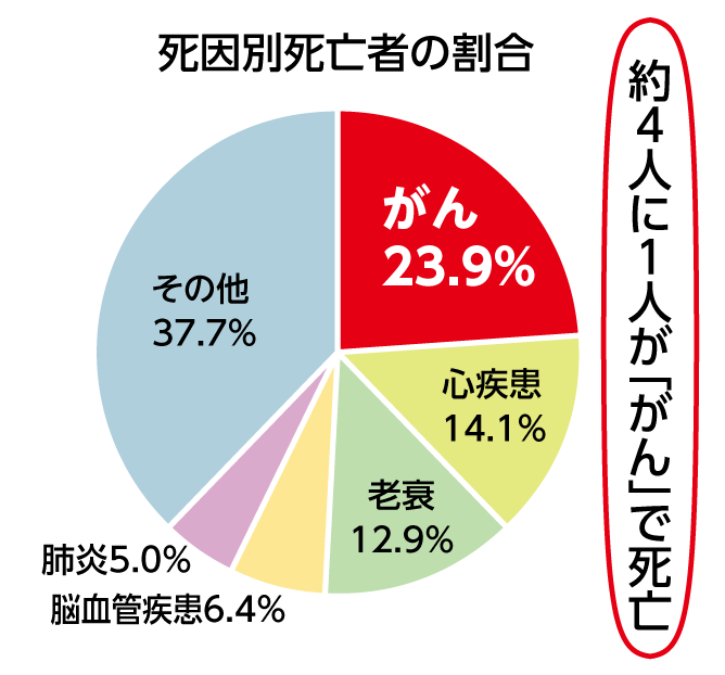死因別死亡者の割合のグラフ：約4人に1人ががんで死亡