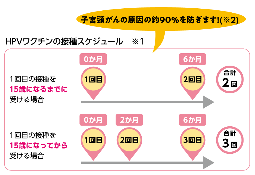 HPVワクチンの接種スケジュール：子宮頸がんの原因の約90％を防ぎます!