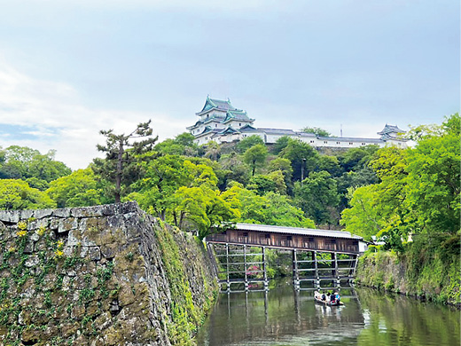和歌山城の写真