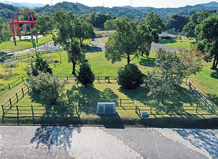 写真：新庄総合公園