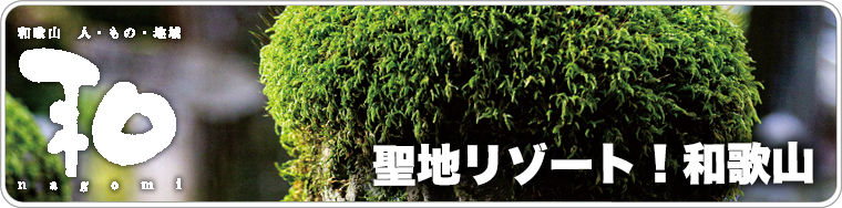 和歌山の人、もの、地域　和　nagomi　聖地リゾート！和歌山　2023 vol.52