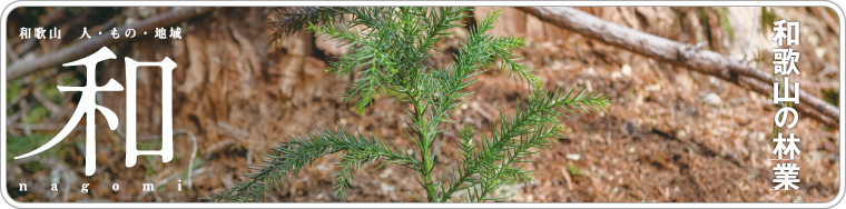 和歌山の人、もの、地域　和　nagomi　和歌山の林業　2026 vol.59