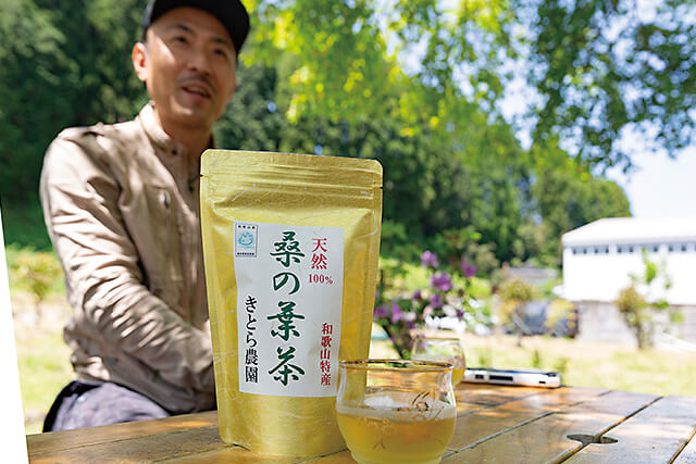 桑の葉茶