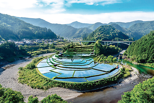 有田川町「あらぎ島」