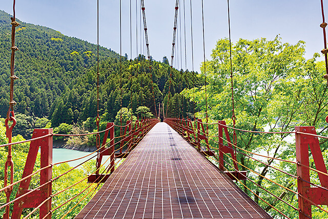 四季折々の風景を楽しめる展望台への道