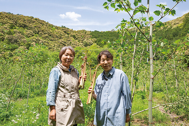 イタドリ部会の竿本みき代さん(右)と竿本千明さん(左)