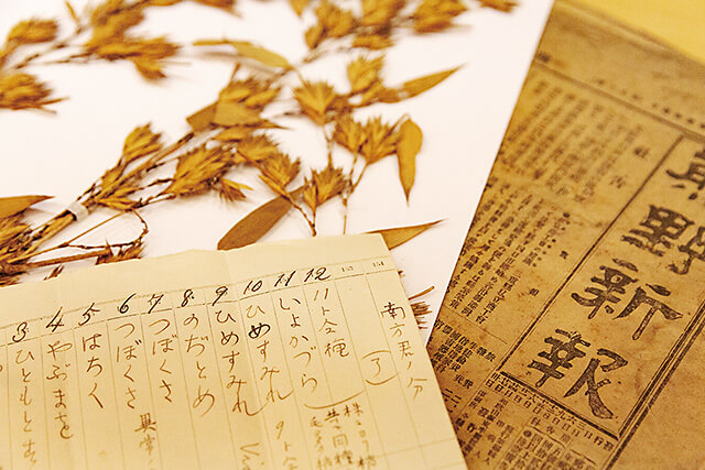 熊楠と富太郎の手紙と植物の標本