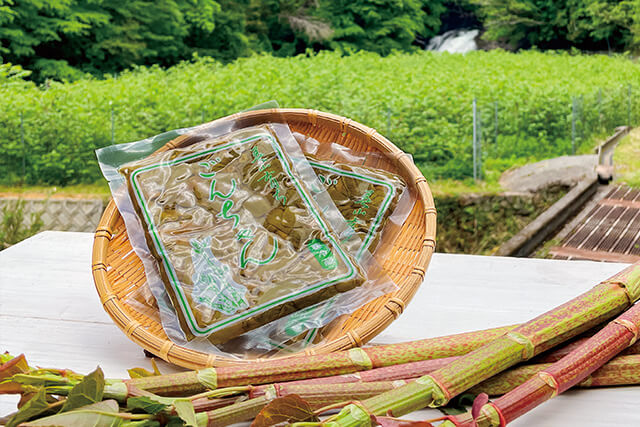 「Premier WAKAYAMA」のイメージ。ごんちゃん