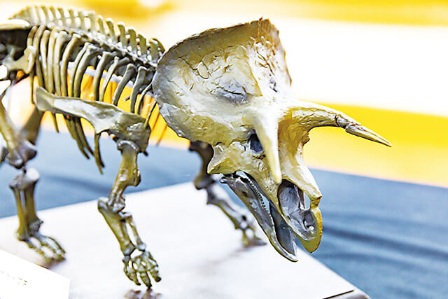3Dプリントで制作した手のひらサイズのトリケラトプス