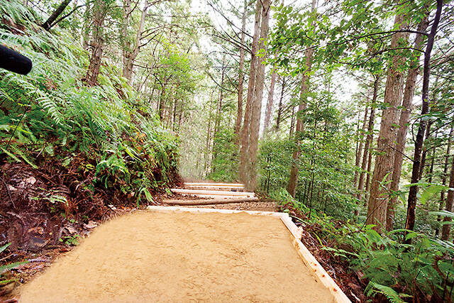 道普請で再生された熊野古道