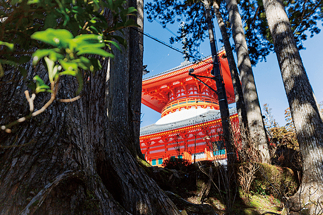 壇上伽藍に建つ根本大塔