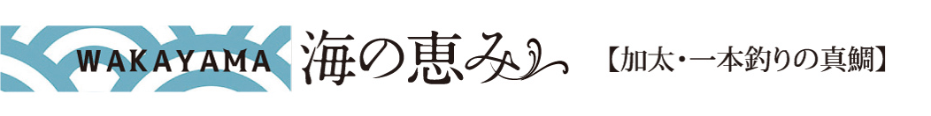 WAKAYAMA 海の恵み/加太・一本釣りの真鯛