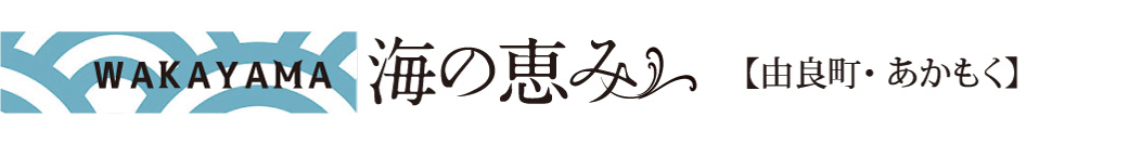WAKAYAMA 海の恵み/由良町・あかもく