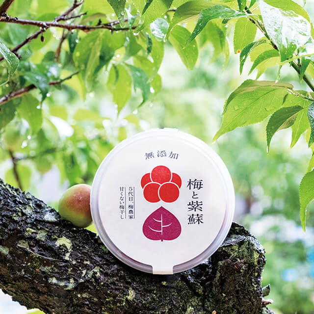 梅の木に置かれた「梅と紫蘇」