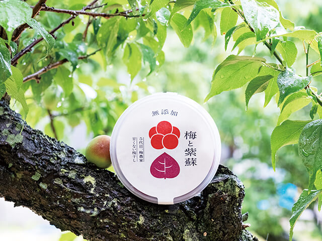 「Premier WAKAYAMA」のイメージ。梅と紫蘇