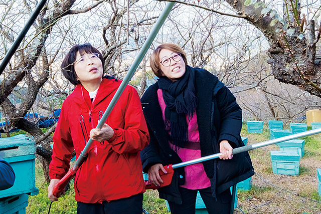 農家のみなさんと技術情報をシェアする。島田さんも枝切りハサミをもって確認している様子。