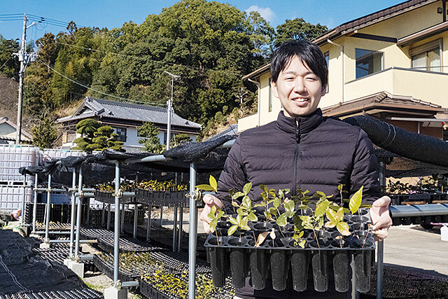 どんぐりから育てたウバメガシの苗を持つ山本さん