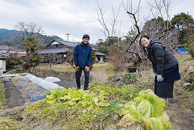 家の裏の畑での家庭菜園