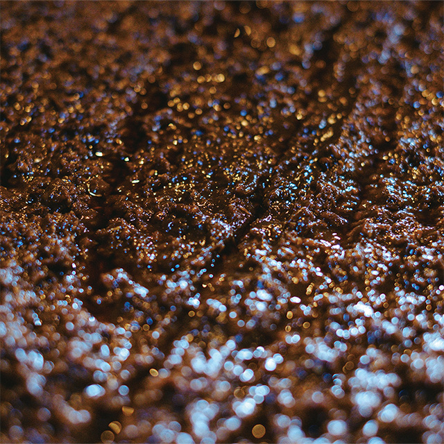 発酵する金山寺味噌の表面