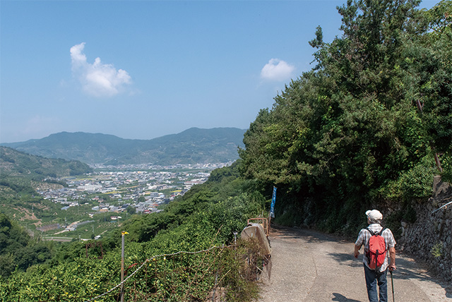 糸我峠から糸我王子へ向かって山を下ると、日本一のみかん産地・有田市の町並みやみかん畑が一望できる