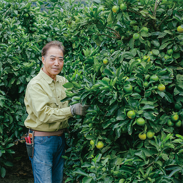 「有田・下津地域世界農業遺産推進協議会」の会長を務める、柑橘農家の森田さん