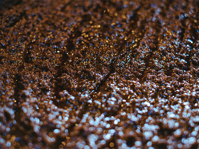 特集-1-のイメージ。和歌山の発酵食