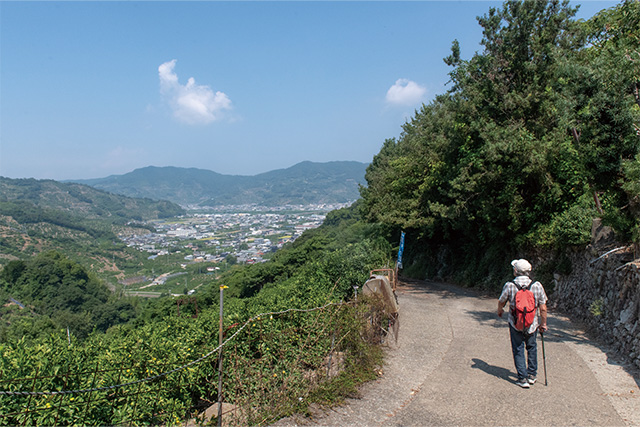 「わかやまツウ巡り旅」のイメージ。糸我峠から糸我王子へ向かって山を下る語り部の後姿