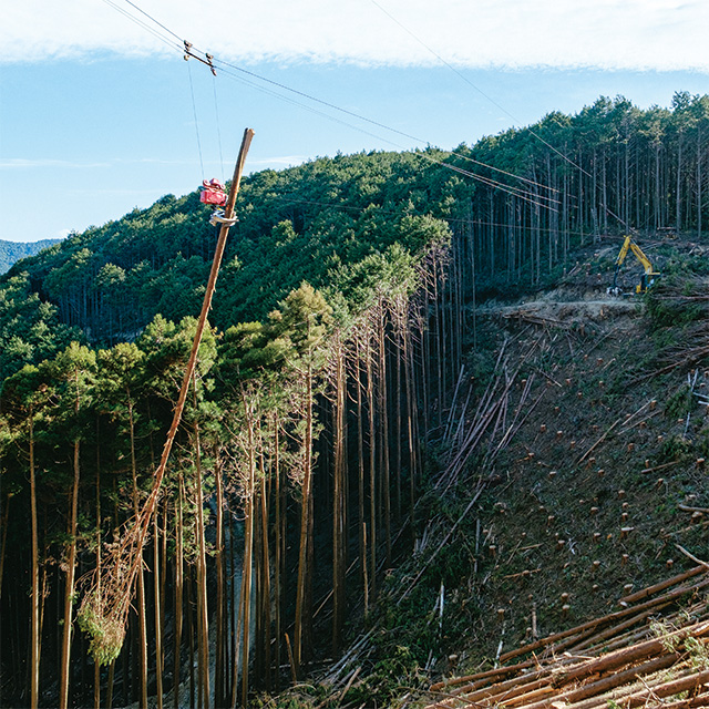 和歌山県発祥の「架線集材システム」を活用した架線集材のようす