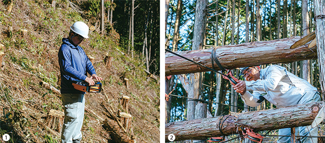 山中で、架線集材システムを操作する男性