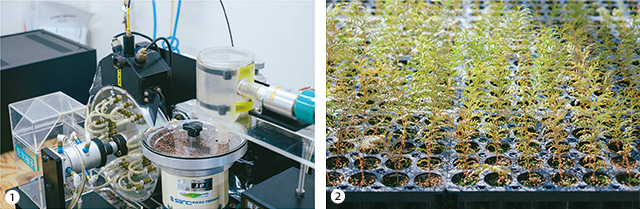 左）発芽率90%以上の種子が精選できる充実種子選別装置、右）発芽後に一定期間育成した苗木