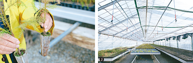 左）土に分解される非石油系の不織布で作られた容器、土に分解される非石油系の不織布で作られた容器